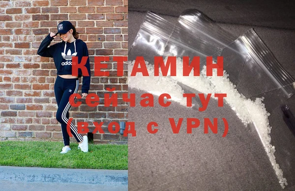 крисы Алексин
