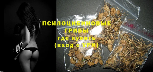 крисы Алексин