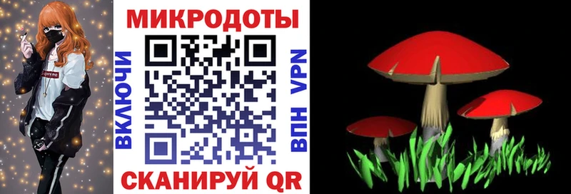 Галлюциногенные грибы Psilocybine cubensis купить наркотик гидра рабочий сайт Саки