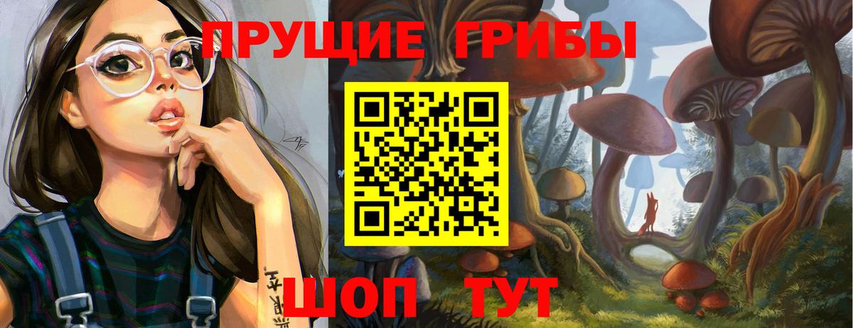 Галлюциногенные грибы Psilocybine cubensis Саки